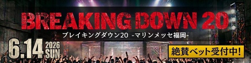 ブレイキングダウン